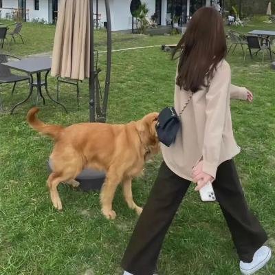 小花